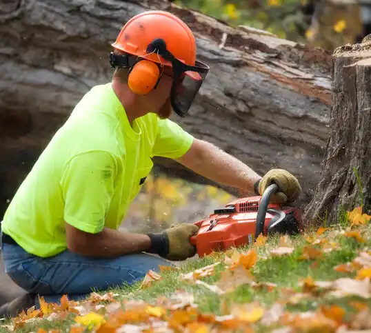 tree services Apple Creek